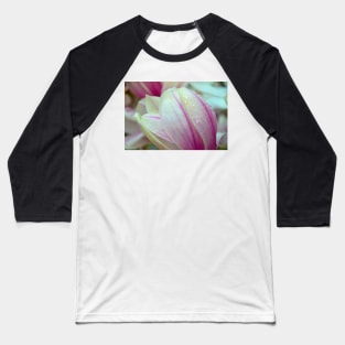 Rain on Magnolia Baseball T-Shirt